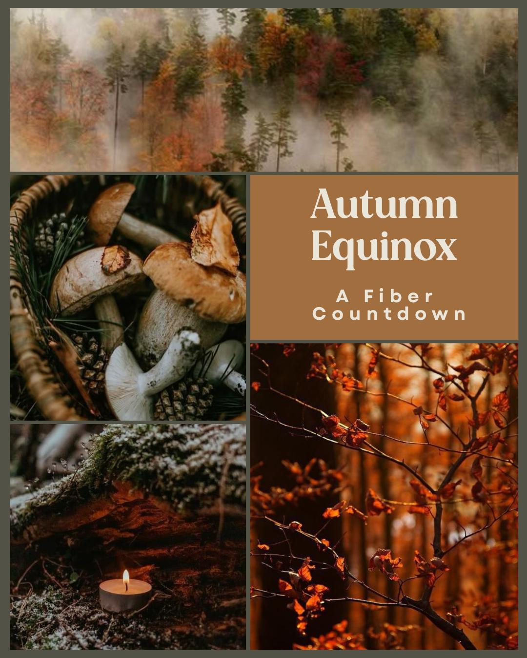 Autumn Equinox - Fiber Countdown (Pre-Order)