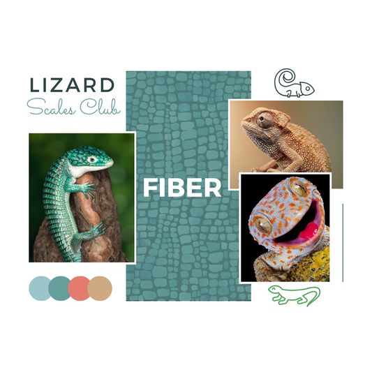 Lizard Scales Club (FIBER) - Subscription - Pre-order