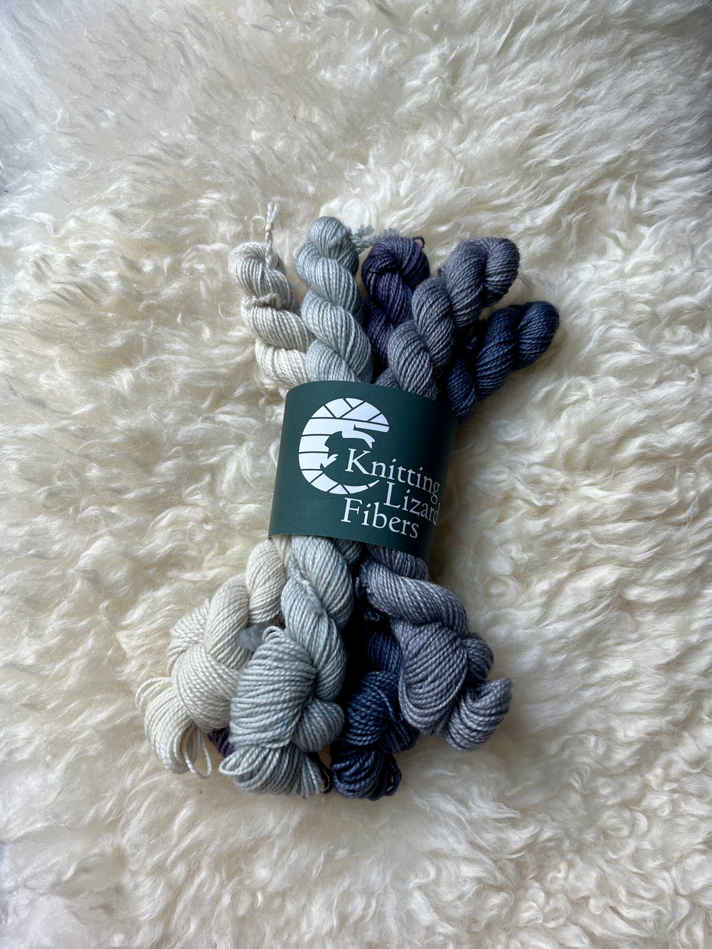 BFL Twist Mini Skein Bundle