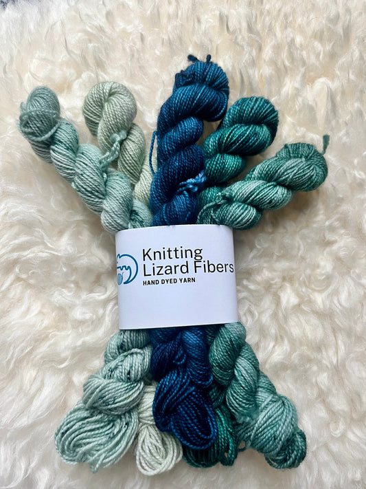 Merino Twist Mini Skein Bundle
